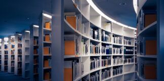 Free Streaming with a Library Card: How to Access Movies & TV Through Kanopy, Hoopla, and Libby Free Streaming with a Library Card