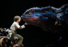 How to Train Your Dragon (Live Action) How to Train Your Dragon Live Action