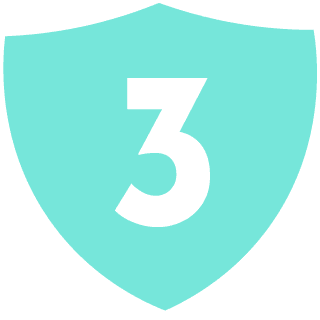 sheild3