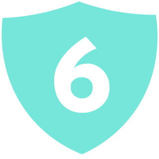 sheild6