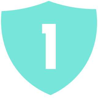 sheild1