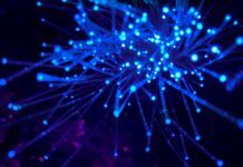 Why You Shouldn’t Trust Content from The Pirate Bay Blue fiber-optic cables lit from within