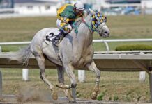The Safest Ways To Watch the 2025 Kentucky Derby A Man Riding a Horse